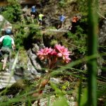 easy route climbing, guide of via ferrat, family climbing activitie