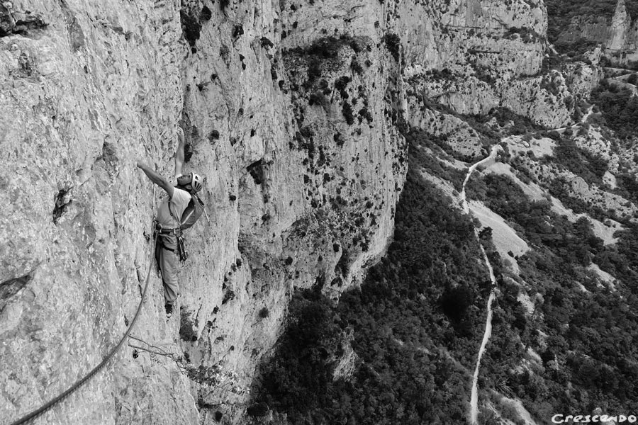 Carmina Burana : une classique exceptionnelle